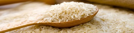 سرنوشت نامعلوم محموله وارداتی ۶۶۰هزار کیسه‌ برنج فاسد از اروگوئه‌